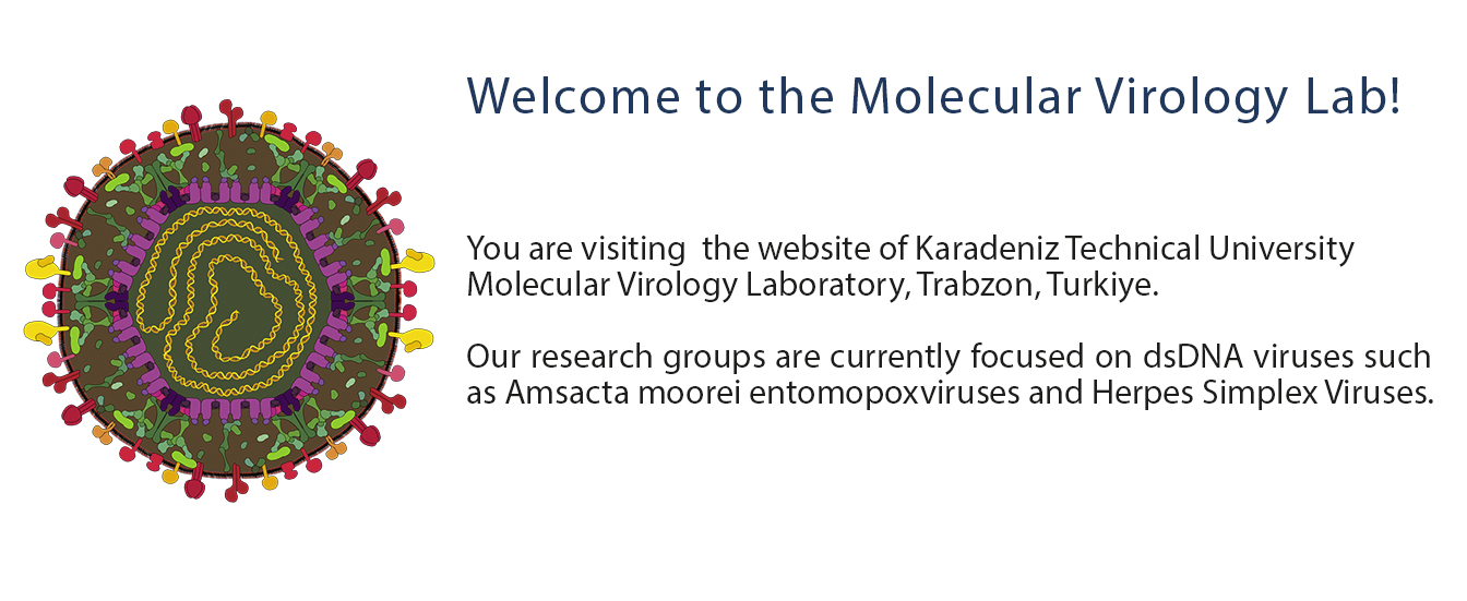 Welcome to Molecular Virology Laboratory Website